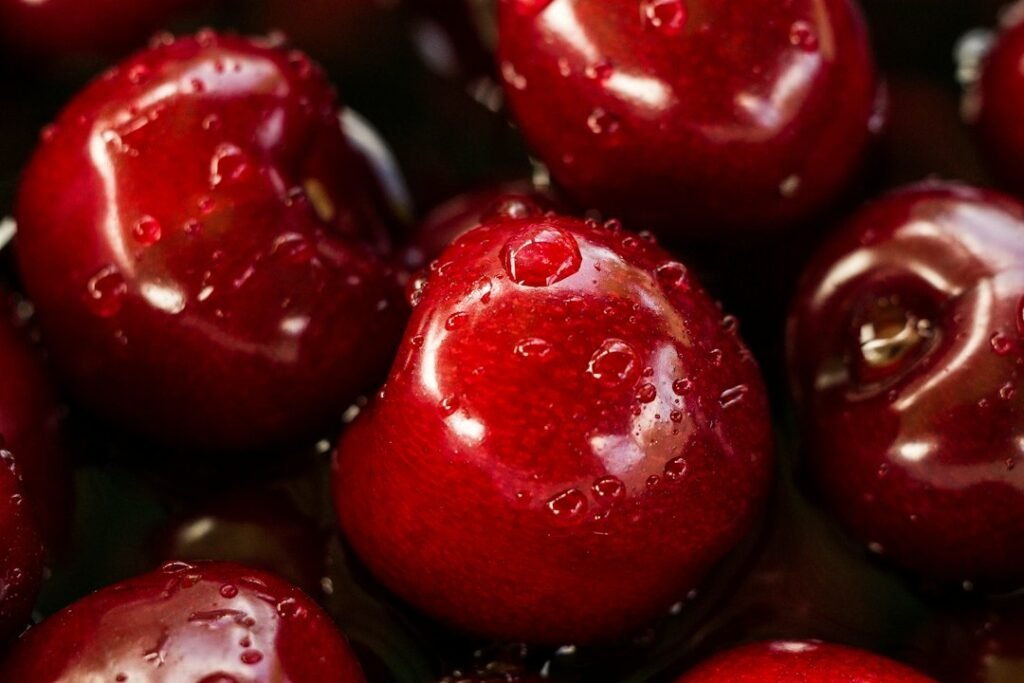Ripe cherries with natural water droplets