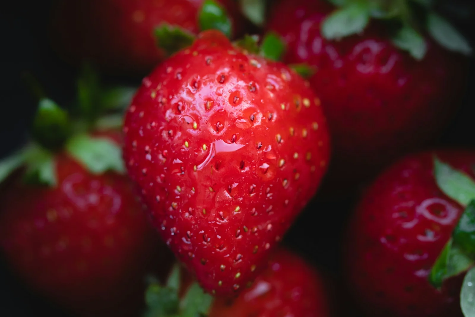 Close-up of colourful ripe strawberries